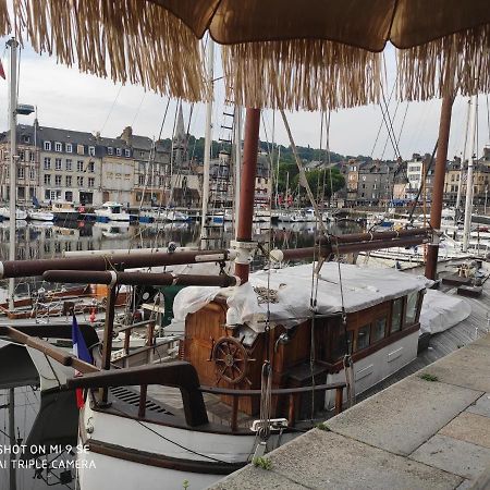 Proche Honfleur Gite Avec Piscine Екемовіль Екстер'єр фото