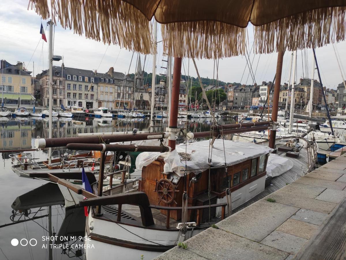 Proche Honfleur Gite Avec Piscine Екемовіль Екстер'єр фото